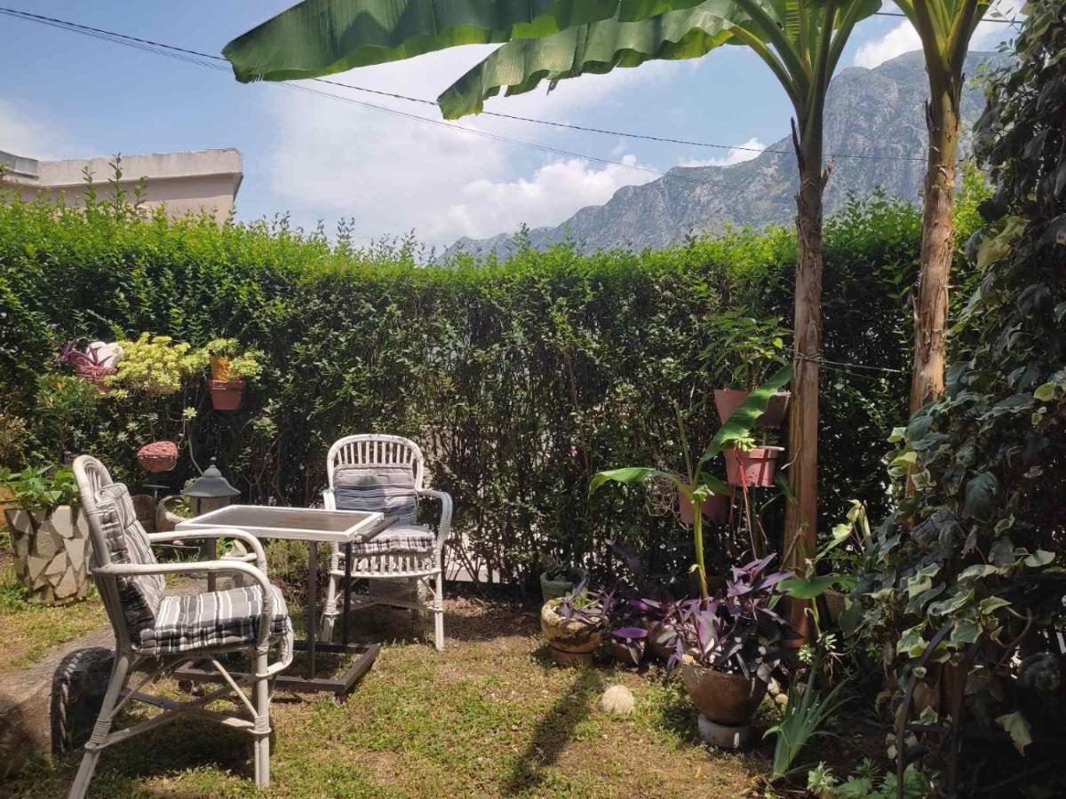 Apartman Art Kotor Dış mekan fotoğraf