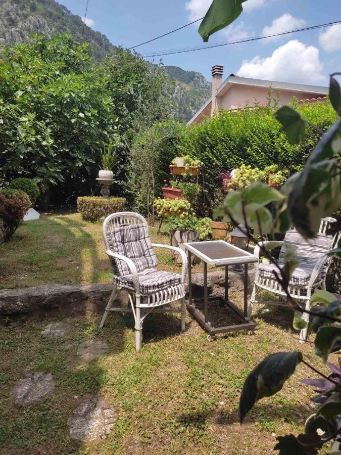 Apartman Art Kotor Dış mekan fotoğraf
